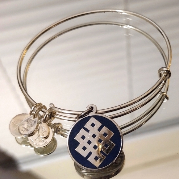 Alex And Ani Endless Knot 2014 Bangle - Picture 2 of 5